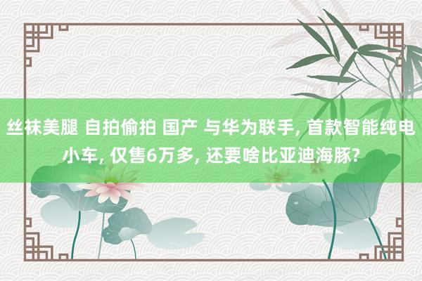 丝袜美腿 自拍偷拍 国产 与华为联手, 首款智能纯电小车, 仅售6万多, 还要啥比亚迪海豚?